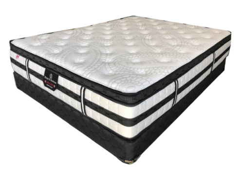 Sleep In SPINAL CARE Mattress